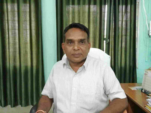 58400 हेक्टेयर में हुई खरीफ फसलों की खेती, पैदावार में भरपूर वृद्धि की उम्मीद